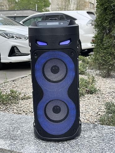 акустические системы sunroz с микрофоном: Портативная мультимедийная колонка Sing-e ZQS4239 с микрофоном — 2