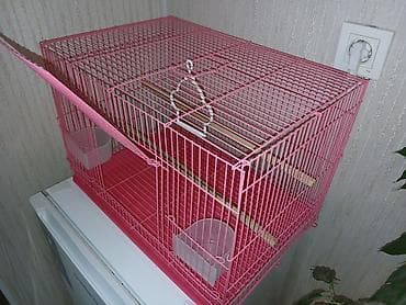 ара цена: Клетка для птиц (волнистые попугаи, канарейки, амадины и т.п.) — 1