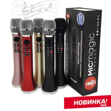 dsp: Оригинальный караоке микрофон Micmagic L700 * *Мощность 20w — 11