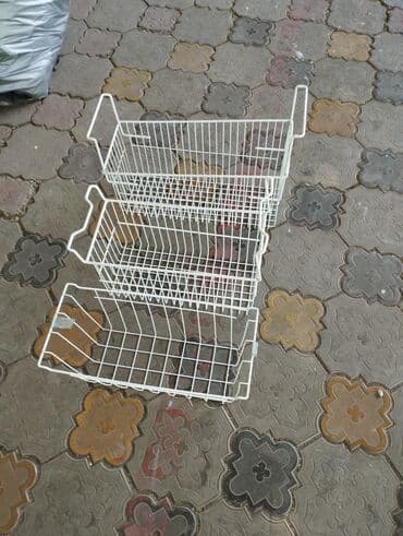 кардон алгандар: Тоңдургуч — 1