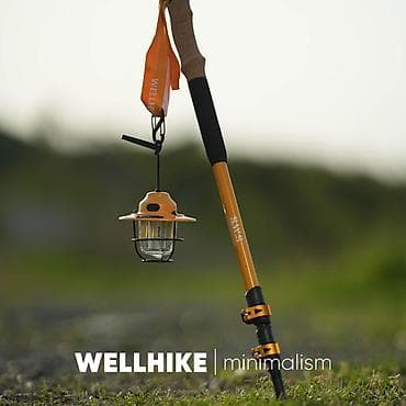 Телескопические треккинговые палки WELLHIKE (пара) - Материал: легкий