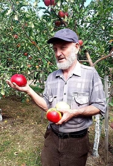 Все для дома и сада: Удобрение — 9