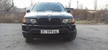 обшивка салона гольф 4: BMW X5: 2003 г., 3 л, Типтроник, Бензин, Кроссовер — 6
