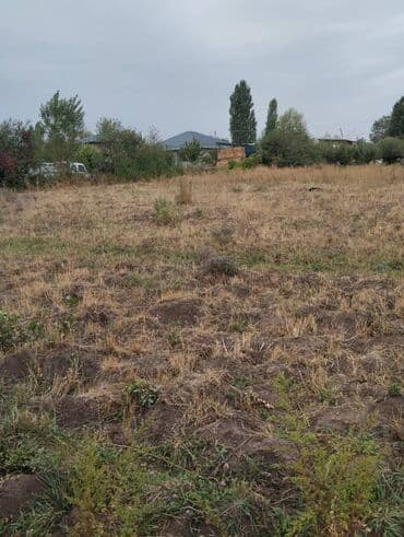 купить участок в бишкеке недорого: 8 соток, Для бизнеса, Красная книга — 8