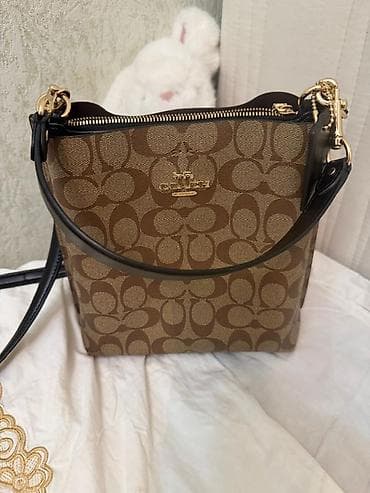 Аксессуары: Сумка Coach с фирменным монограммным принтом Signature в оттенках — 1