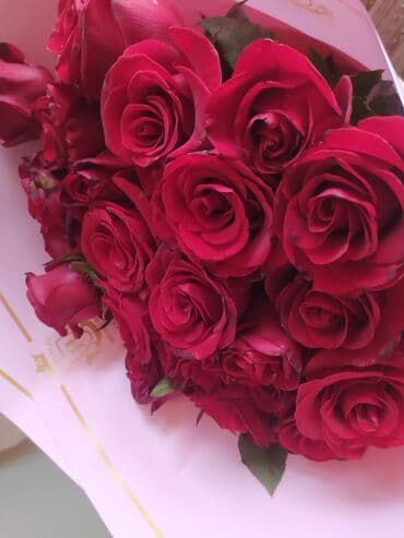 роза штамбовая: Букеты из свежих роз - Классические красные розы с крупным бутоном — — 1