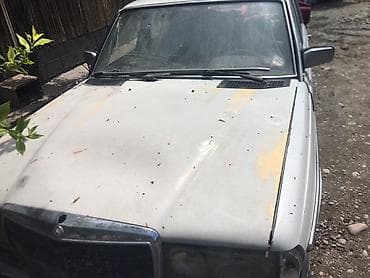 Транспорт: Mercedes-Benz W123: 1982 г., Кол менен иштөөчү, Седан — 3