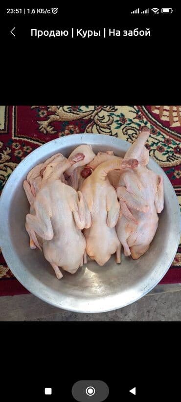 Тоок :, 1 кг, 2 кг, Өзү алып кетүү, Акысыз жеткирүү, Акылуу жеткирүү