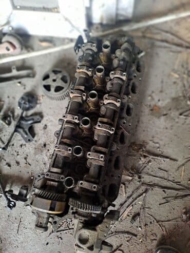 купить саженцы павловнии в бишкеке: Toyota 2002 г., 2 л, Б/у, Оригинал, Япония — 3