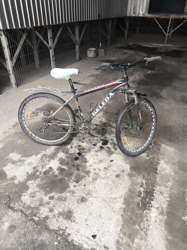 Срочно Велосипед Сатылат! баасы: 6000сом