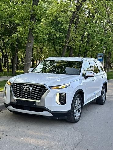 palisade: Hyundai Palisade: 2020 г., 2.2 л, Дизель, Кроссовер — 1