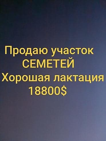 Земельные участки: 4 соток, Для строительства, Красная книга — 1
