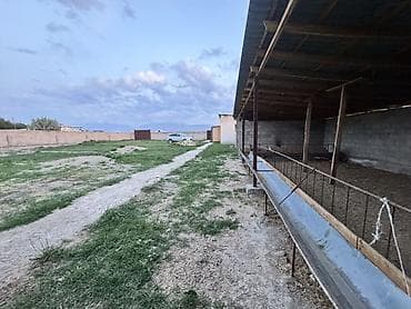 Продажа домов: Сарай эки болболу уйу менен сатылат 
Талас — 8
