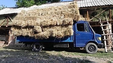 дубул кабина: Грузовой бортовой автомобиль Mercedes-Benz (кабина синяя, односкатная — 2