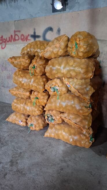 Картошка Пикассо, Оптом