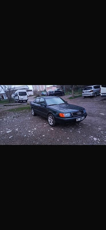 king tony: Audi 100: 1994 г., 2 л, Механика, Бензин, Седан — 1