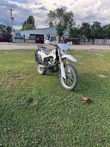 муравей мотосикл: Эндуро/двухподвесный мотоцикл класса dual-sport, белый цвет. Основные — 7
