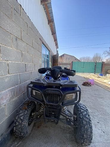 установка вебасто бишкек: .квадрацикл саталат 250 куб взрослый — 4