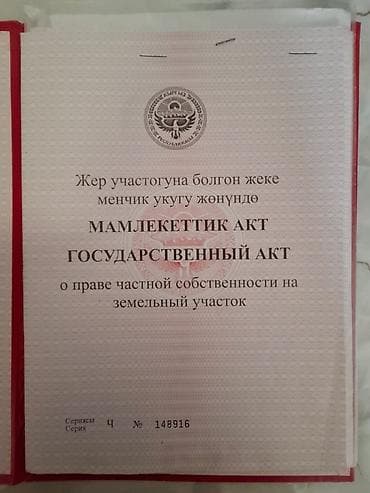псо джал: 4 соток, Красная книга — 1