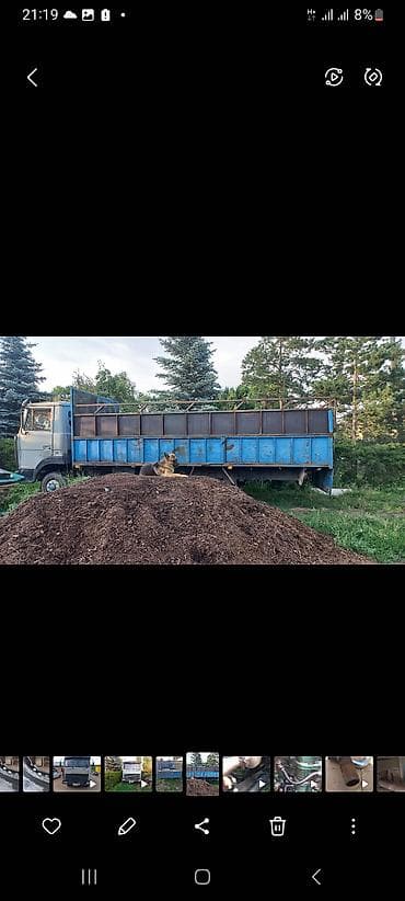 мото макси: Легкий грузовик, МАЗ, Стандарт, Б/у — 5