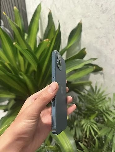 airpods 3 pro цена бишкек: IPhone 12 Pro, 256 ГБ, Pacific Blue — 2