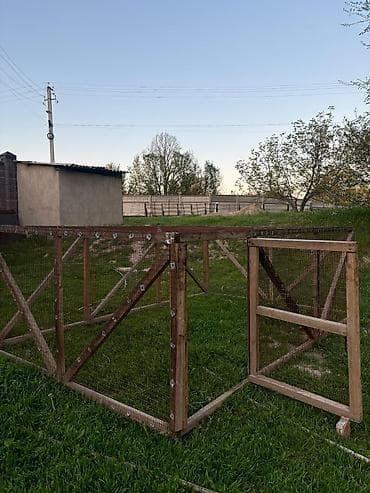 курица инкубатор: Переносной вольер/выгул для птицы и мелких животных. Клетка для птиц — 6