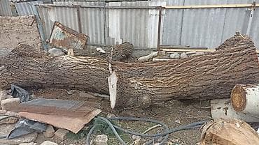 дрова токмак: Дрова Тополь, Самовывоз — 2