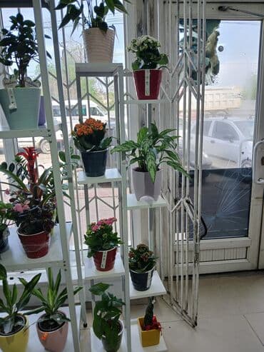 полки для контейнера: Полка для цветов 💐 — 1
