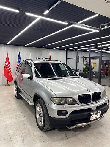 BMW X5: 2004 г., 3 л, Автомат, Дизель, Кроссовер