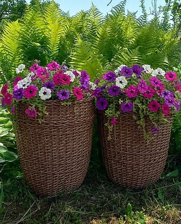 корзина на новый год: Корзина, Новый, Платная доставка — 1