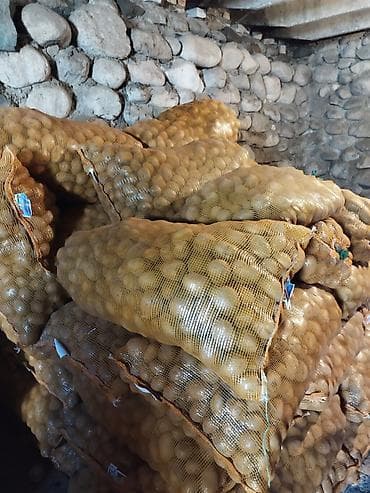 эки кишилик кроват: Картошка Джелли — 2