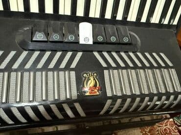 обучение фортепиано: Аккордеон Parrot (кнопочно-клавишный) Описание: - Корпус черного — 2