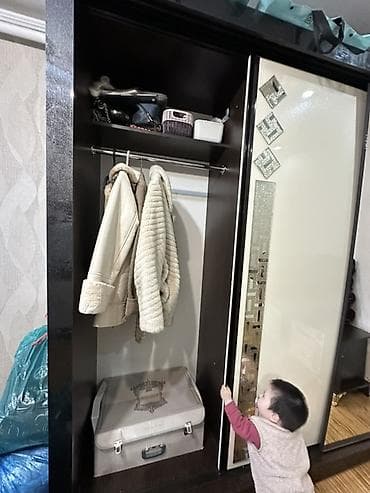 Уход и хранение одежды: Шкаф купе, С зеркалом — 2