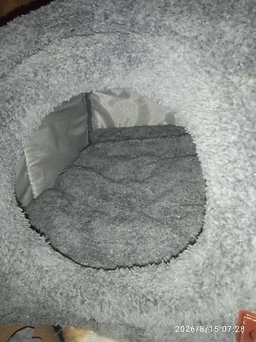 шотландская кошка цена: Домик лежанка для кошек 700с — 2