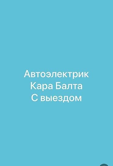 nitendo switch: Услуги автоэлектрика, Компьютерная диагностика, Специализация: Легковое авто, С выездом — 1