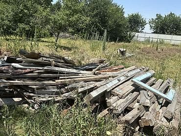 живые рыбы бишкек: Продаю дрова Деревянный строительный разбор — брус, балки, доска — 4