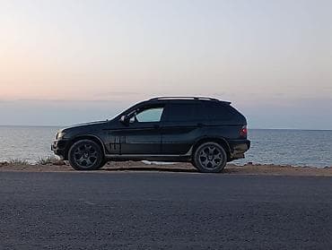 отключение адблю: BMW X5: 2002 г., 3 л, Автомат, Дизель, Кроссовер — 6