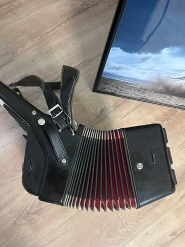 Гитары: Аккордеон Royal Standard (ГДР), классическая черная модель. Метеор — 3