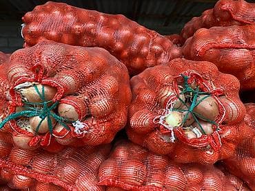 соевый соус цена: Лук — 1