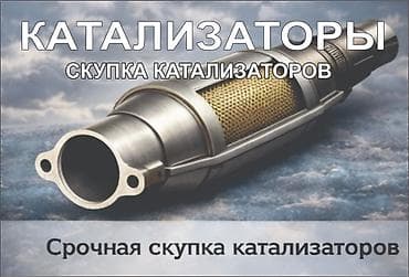 mi account: Скупка Катализаторов катализатор алам Каталик катал катик католизотар — 1