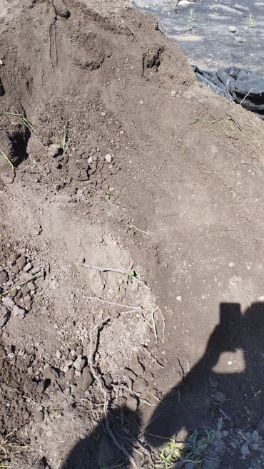 чернозем для газона: В тоннах, Бесплатная доставка, Платная доставка, Портер, Камаз, Зил — 5