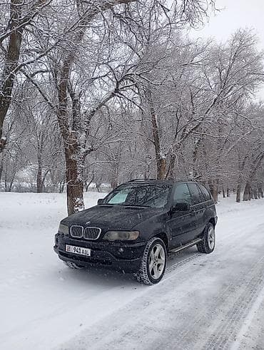x5 r20: BMW X5: 2003 г., 4.4 л, Автомат, Бензин, Кроссовер — 10