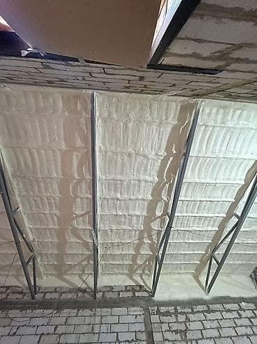 услуги няни на дому: Утепление домов напыляемым пенополиуретаном (ППУ) - Профессиональное — 4