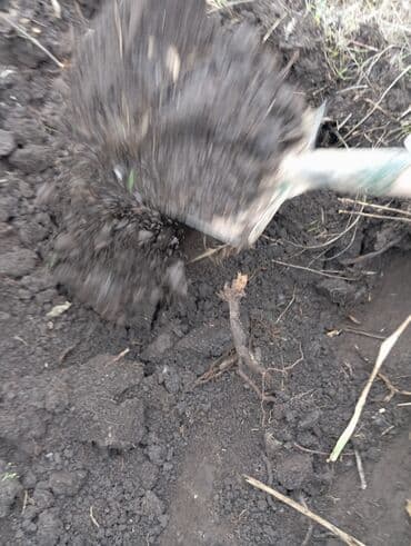 кар күрөк: Тонна менен, Акысыз жеткирүү, Зил — 5