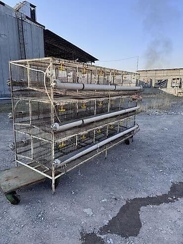 ундук чожо: Двухъярусная деревянная клетка/вольер для грызунов и птиц - — 3