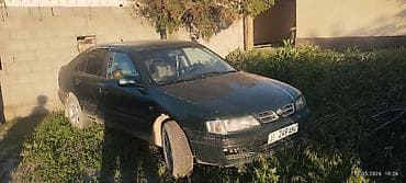 сед: Nissan Primera: 1999 г., Механика, Лифтбек — 5