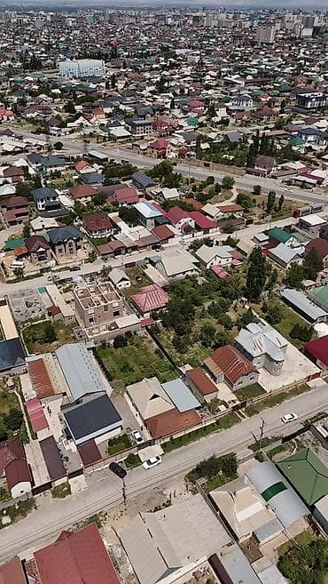 Земельные участки: 8 соток, Красная книга — 1