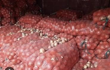 Ашкабак: Пияз — 1