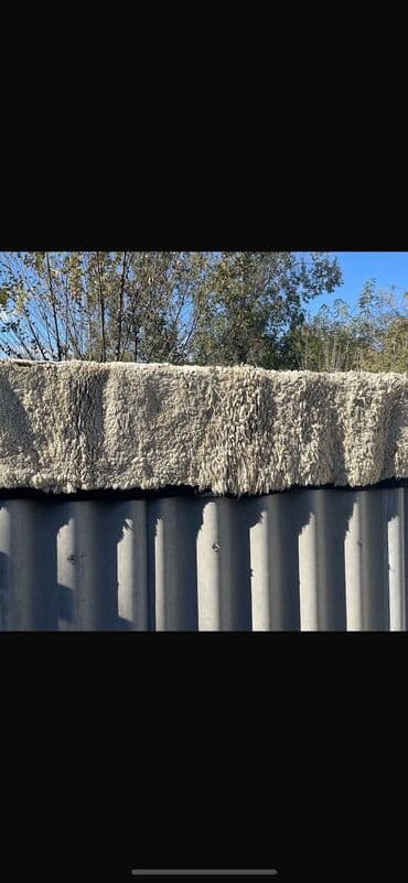 ковер миллионник цена в бишкеке: Шырдак Б/у, 250 * 200 — 2