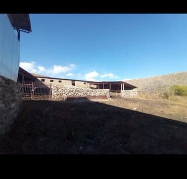 меняю на скот: Продается действующий бизнес кашар вместе с садом для разведения скота — 11